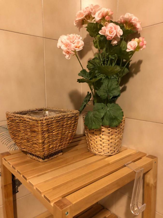 Da Paola Bed & Breakfast Пиза Екстериор снимка
